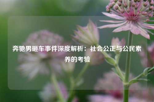 奔驰男砸车事件深度解析：社会公正与公民素养的考验